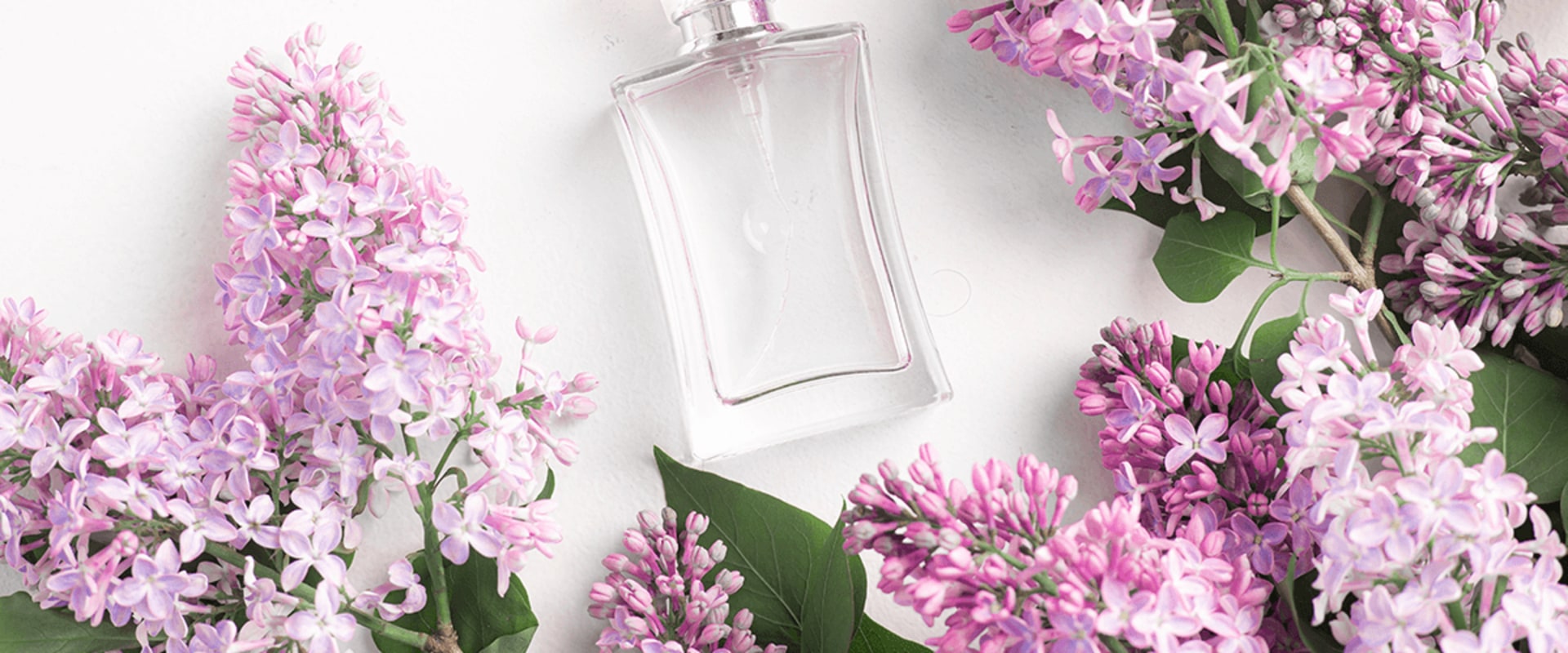 A Beginner's Guide to Gucci Fragrances
