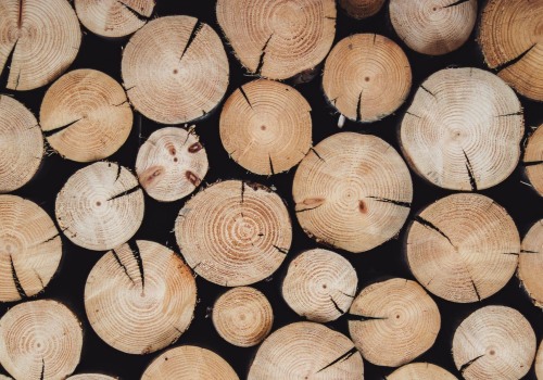 All You Need to Know About Woody Scents